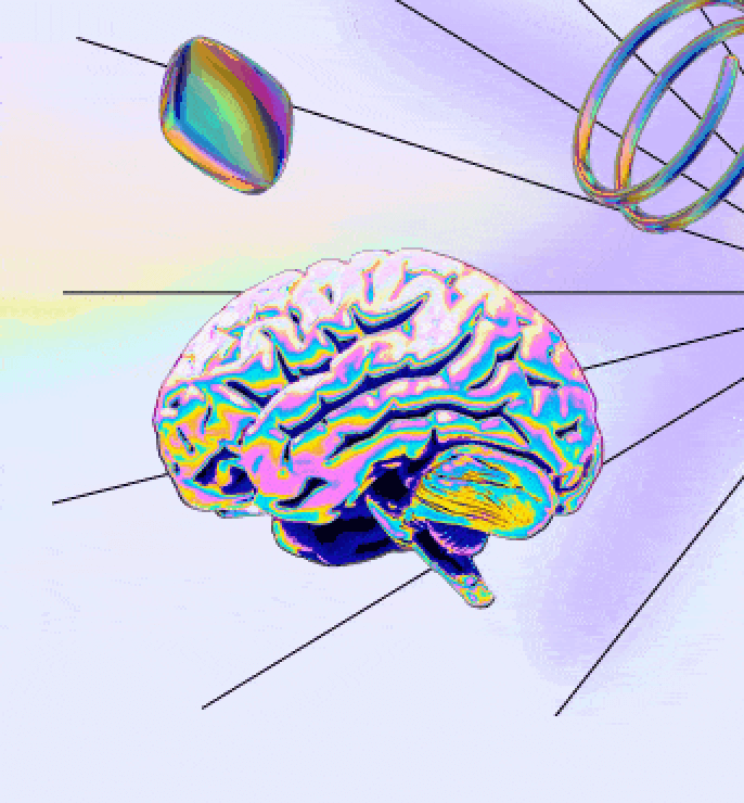 Brain image